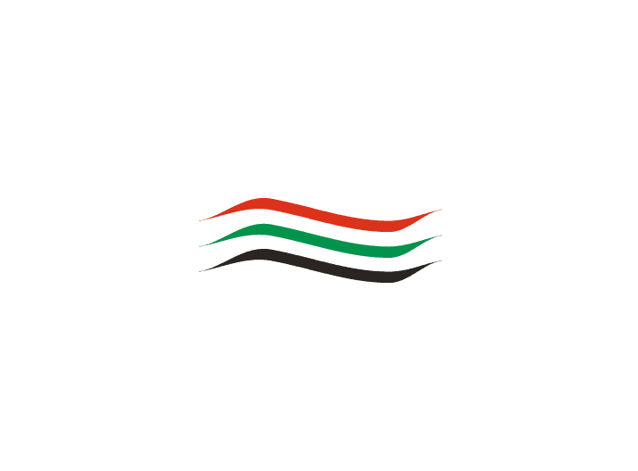 APIC logo
